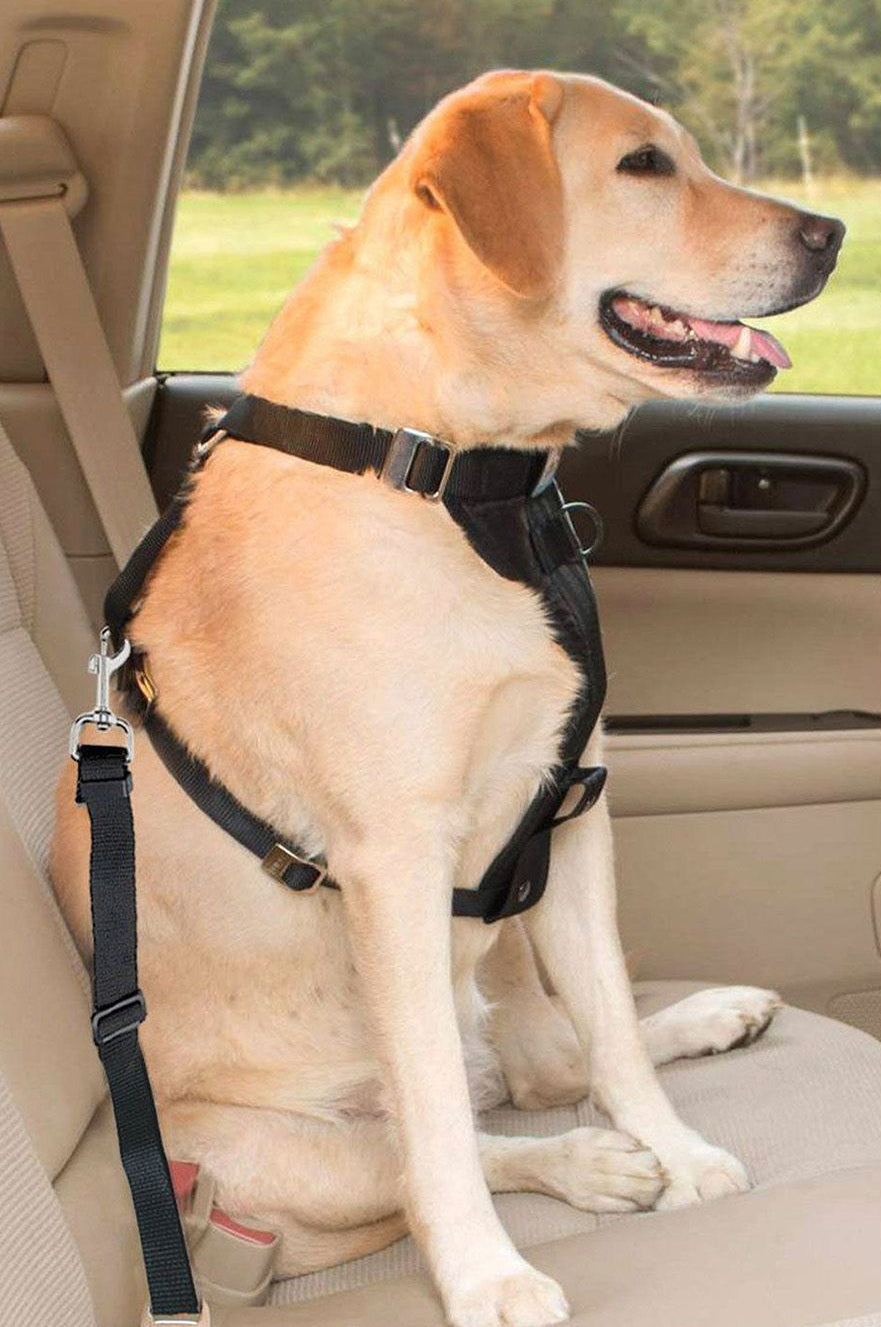 2Pcs Pet Adjustable Safety Seat Belt Harness/ Leash