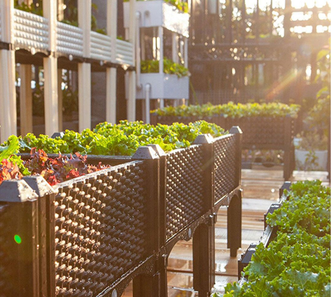 2 Piece Plastic Raised Plant or Garden Bed Outdoor/Indoor